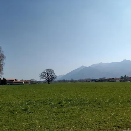 アパート Wolke31 *