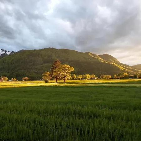 アパート Wolke31 グラッサウ